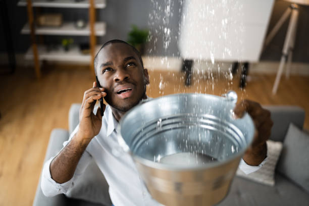 Best Sewage cleanup and water damage restoration  in Brookville, OH