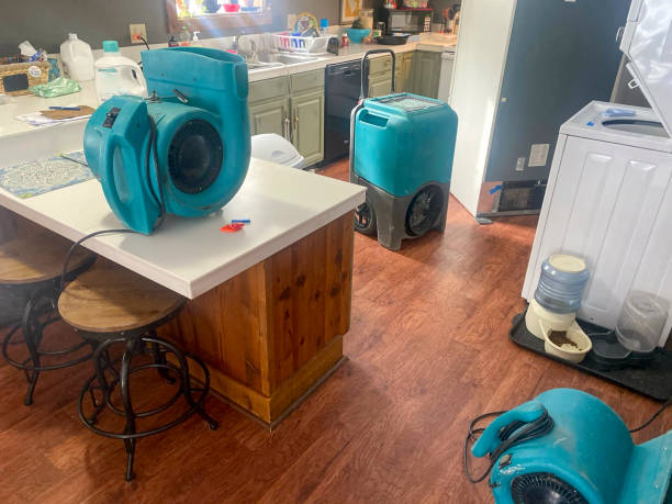 Water damage restoration mold remediation in Brookville, OH