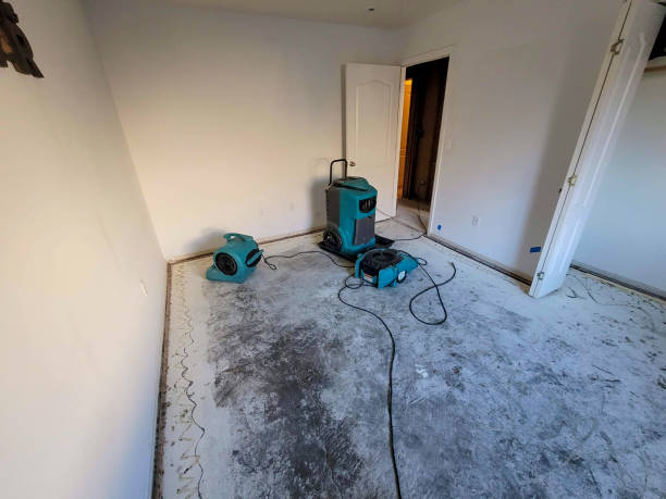Best Professional water damage repair  in Brookville, OH