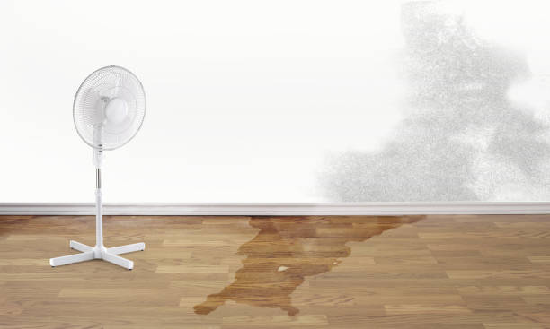 Best Sewage cleanup and water damage restoration  in Brookville, OH