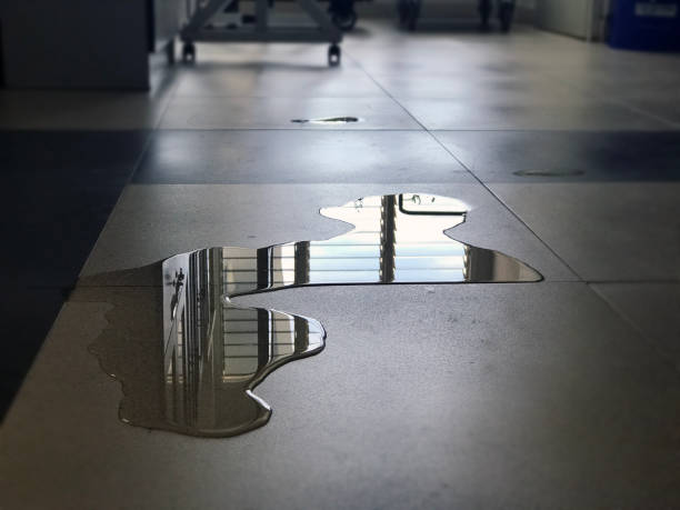 Best Commercial water damage restoration  in Brookville, OH