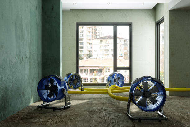 Best Ceiling water damage repair  in Brookville, OH