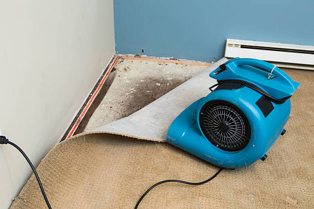 Best Emergency water damage restoration  in Brookville, OH
